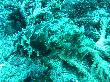 IMG_1637.JPG