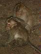 DSC00247.JPG