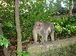 DSC00250.JPG