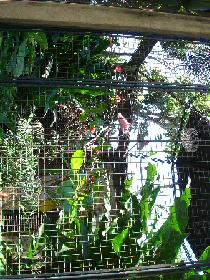 DSC00371.JPG