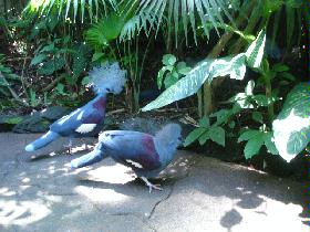 DSC00388.JPG