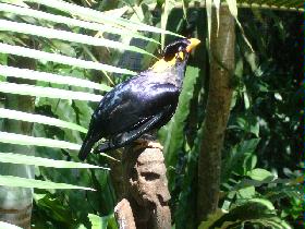 DSC00404.JPG