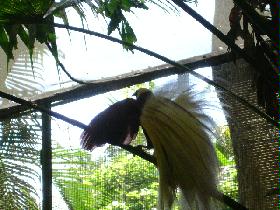 DSC00414.JPG