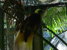 DSC00416.JPG