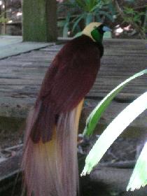 DSC00422.JPG