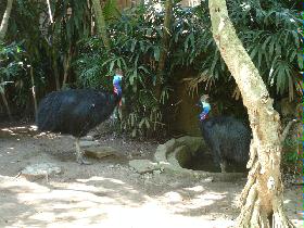 DSC00436.JPG