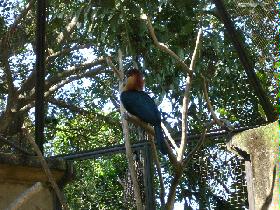 DSC00442.JPG