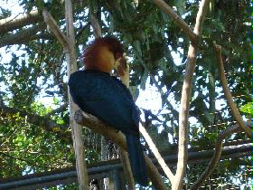 DSC00443.JPG