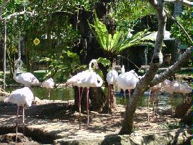 DSC00446.JPG