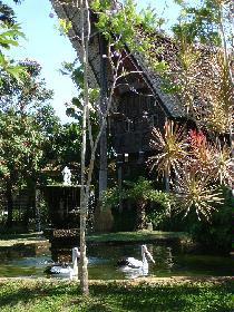 DSC00453.JPG