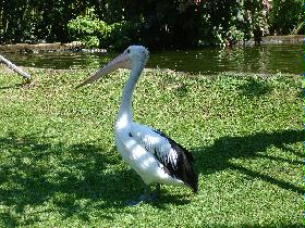 DSC00457.JPG