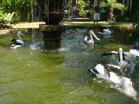 DSC00474.JPG
