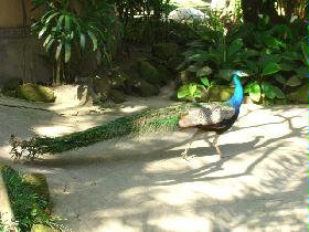 DSC00493.JPG