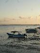 DSC00519.JPG