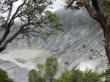 DSC00087.JPG